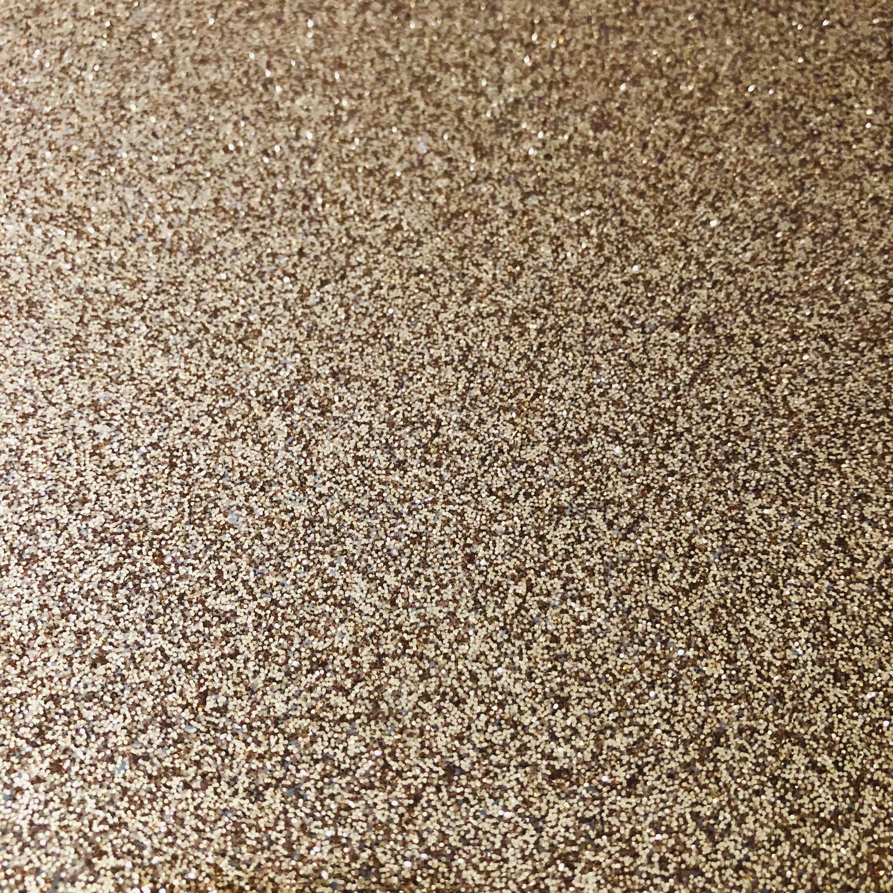 Disco Dust Glitter: Golden Champagne