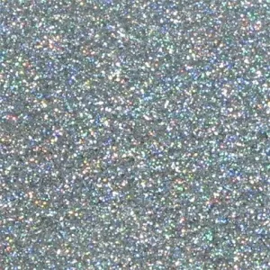 Disco Dust Glitter: Holographic Silver