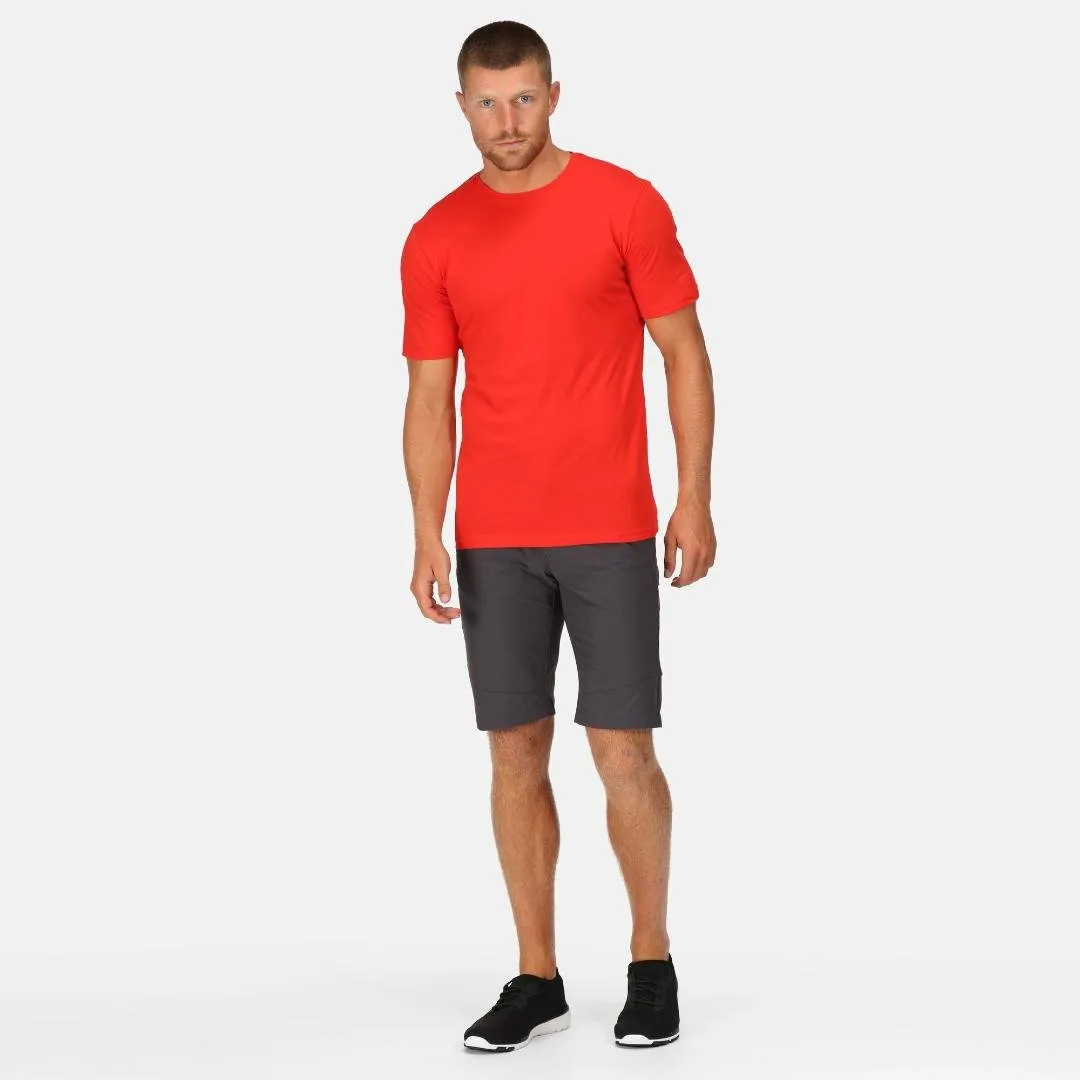 Regatta Men's Highton Long Walking Shorts - Seal Grey
