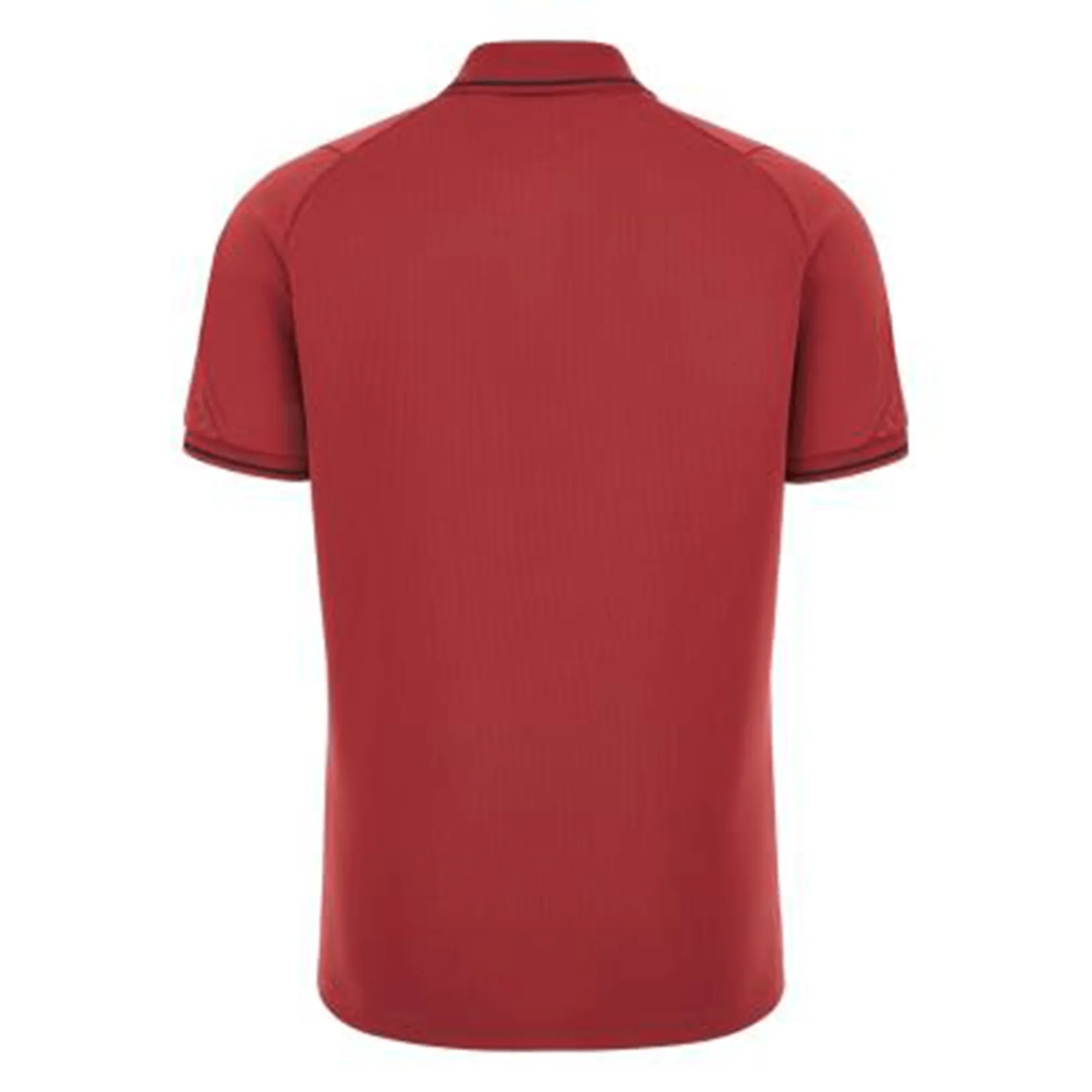 Wales Rugby Travel Polo 23/24 by Macron